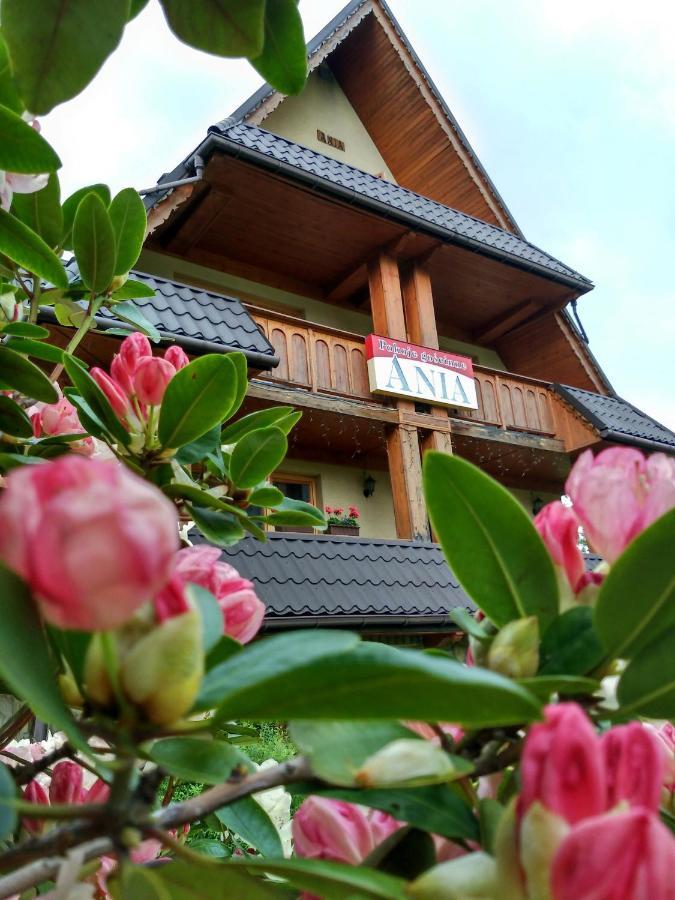Apartmán Ania Wynajem Pokoi Zakopane Exteriér fotografie